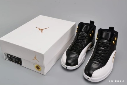 HighQuality 781 848692- 4163 12 Retro Jordan Wings 0709